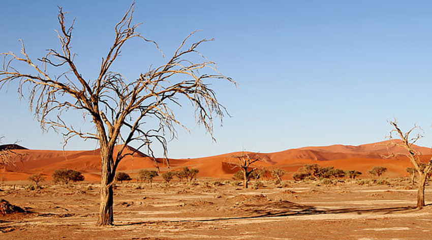 Namibia scales up land restoration programs amid drought